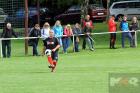 150620_Fotbal-ce066.jpg